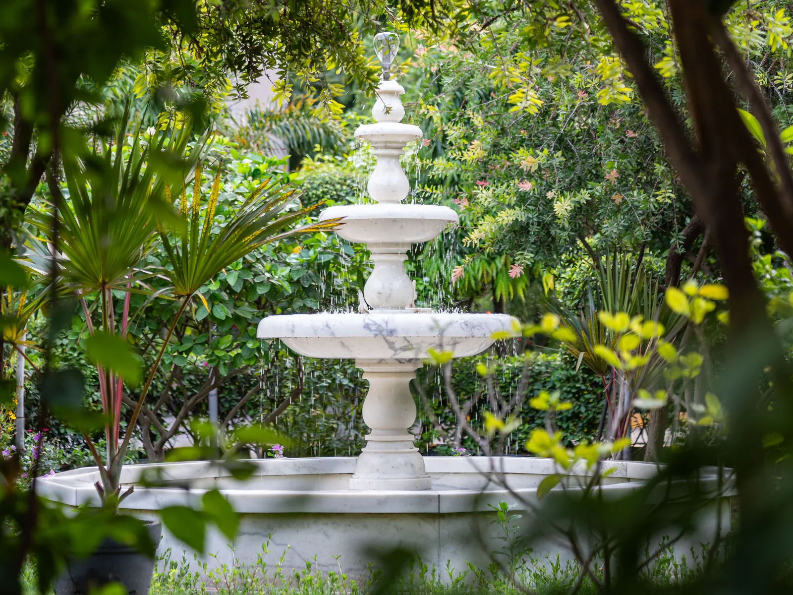 The fountain garden at evolution Centre