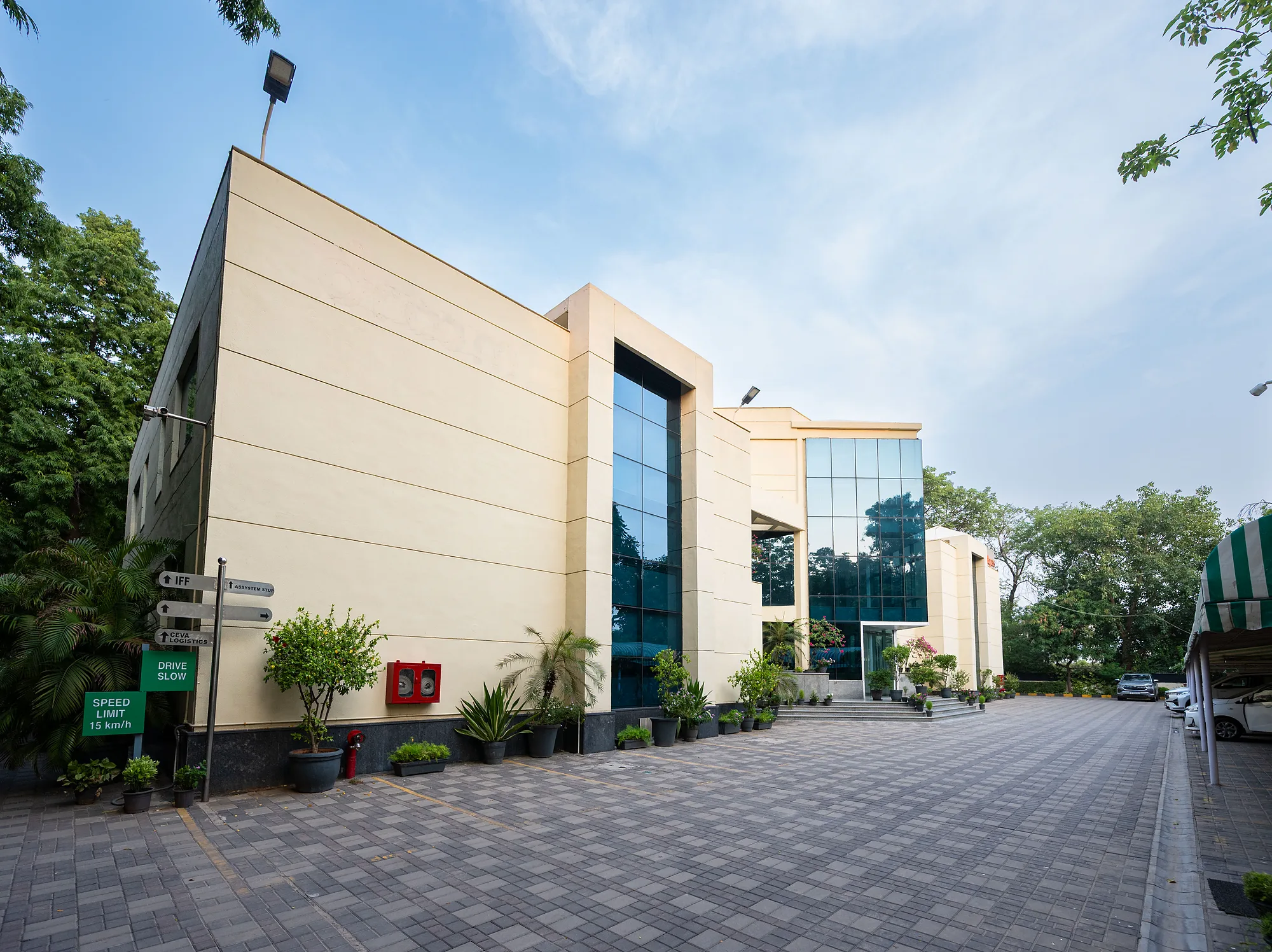 The campus drive under the Ashoka trees